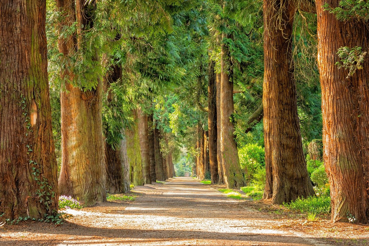avenue-g09abfbeaa_1280